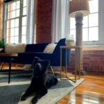 Luxury Pet-Friendly Apartments At Drayton Mills Loft Apartments In Spartanburg, SC
